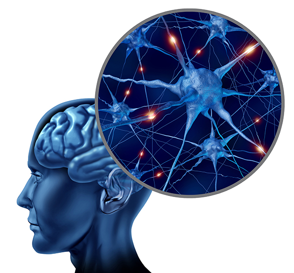 מה קורה בתוך המוח שלנו - נוירונים לצד פרופיל אדם